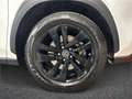 Lexus NX 300 Hybrid 4WD Sport Weiß - thumbnail 8