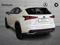 Lexus NX 300 Hybrid 4WD Sport Weiß - thumbnail 5