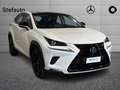 Lexus NX 300 Hybrid 4WD Sport Weiß - thumbnail 1