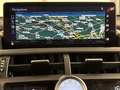 Lexus NX 300 Hybrid 4WD Sport Weiß - thumbnail 18