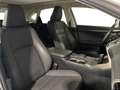 Lexus NX 300 Hybrid 4WD Sport Weiß - thumbnail 16