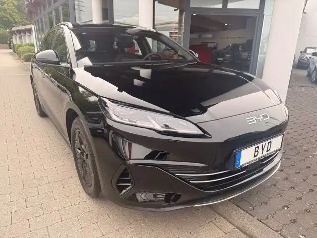 BYD Sonstige