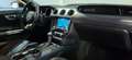 Ford Mustang *SHELBY GT 500 UMBAU*KAMERA*AUTOMATIK*TOP Argento - thumbnail 18