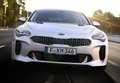 Kia Stinger 2.2CRDi GT Line 4x2 Aut. 200 Negro - thumbnail 18