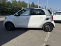 smart forFour Forfour 0.9 t Passion 90cv twinamic my18 Bianco - thumbnail 7