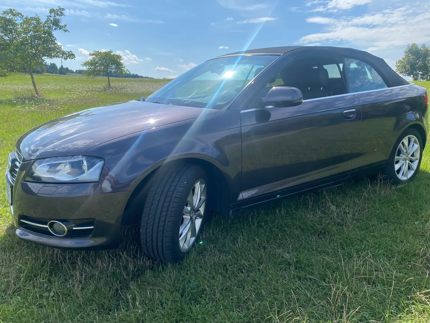 Audi A3 A3 Cabriolet 1.4 TFSI Ambition Violett - 2