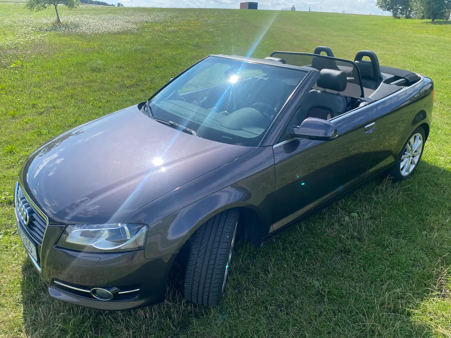 Audi A3 A3 Cabriolet 1.4 TFSI Ambition Violett - 1