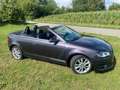 Audi A3 A3 Cabriolet 1.4 TFSI Ambition Violett - thumbnail 4