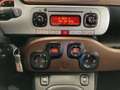 Fiat Panda Panda Cross 1.3 MJT 80 CV S&S 4x4 Verde - thumbnail 10