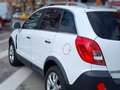 Opel Antara 2.2CDTI Cosmo Blanco - thumbnail 6