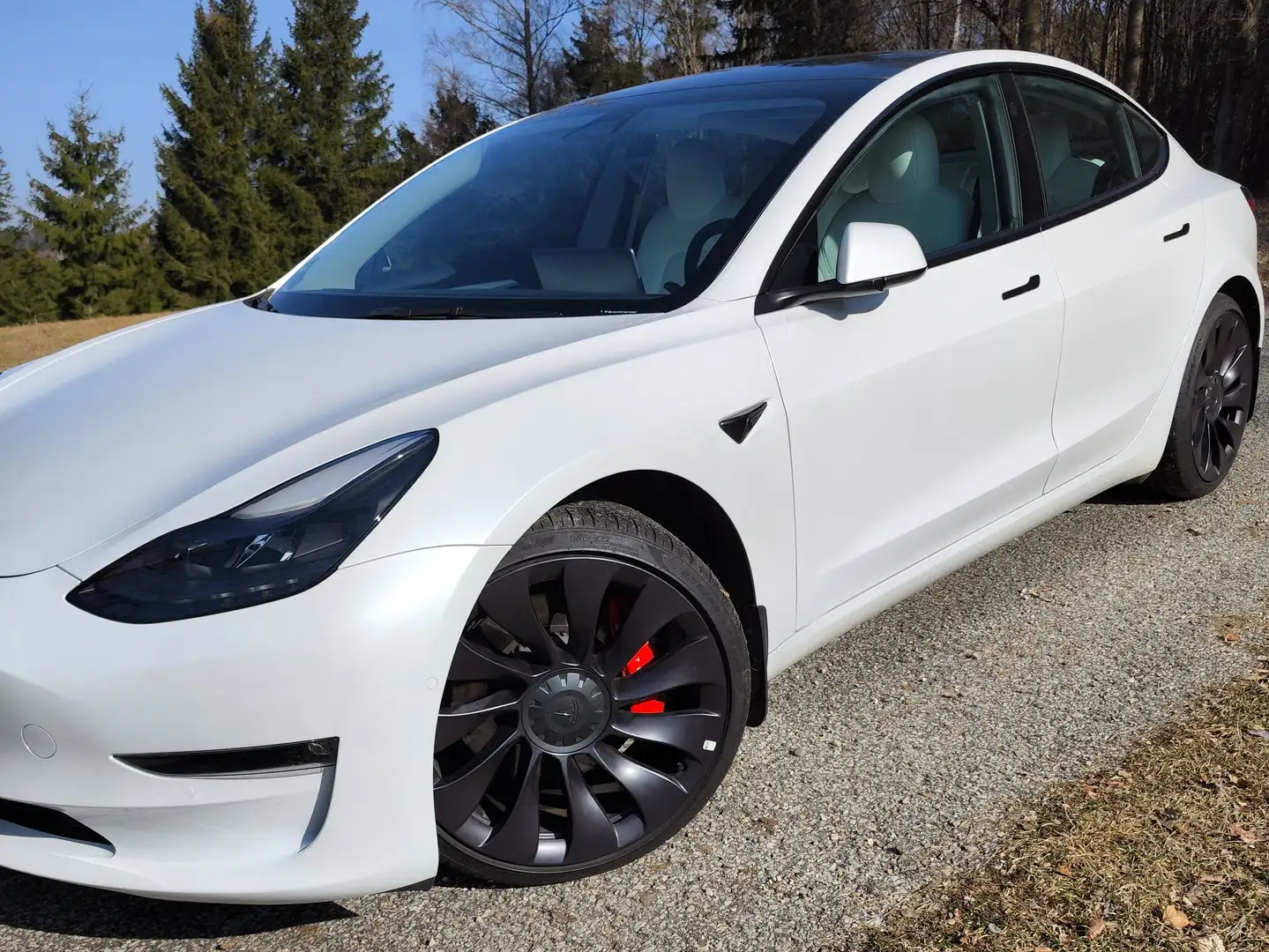 Tesla Model 3 Model 3 Performance Allradantrieb Dual Motor White - 1