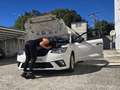 SEAT Ibiza Ibiza ST 1.0 Reference 75 Reference Blanco - thumbnail 5