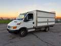 Iveco Daily Bianco - thumbnail 2