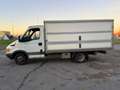 Iveco Daily Bianco - thumbnail 1
