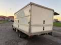 Iveco Daily Bianco - thumbnail 7