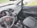 Fiat Punto Punto III 3p 1.4 natural power Young 70cv CNG Blu/Azzurro - thumbnail 8