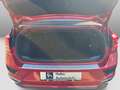 Volkswagen T-Roc 1.5TSI DSG R-Line Cam Navi Sitzh Rot - thumbnail 12