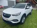 Opel Grandland X Grandland X 1,2 Weiß - thumbnail 2