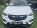 Opel Grandland X Grandland X 1,2 Weiß - thumbnail 1