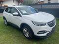 Opel Grandland X Grandland X 1,2 Weiß - thumbnail 3