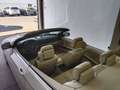 BMW 325 325iA Cabrio Blanc - thumbnail 16