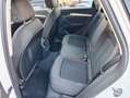 Audi Q5 Q5 40 2.0 tdi mhev Business Adv quattro s-tronic Bianco - thumbnail 10