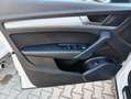 Audi Q5 Q5 40 2.0 tdi mhev Business Adv quattro s-tronic Bianco - thumbnail 13