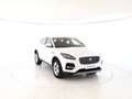 Jaguar E-Pace E-Pace 2.0D I4 163 CV AWD Auto S - IVA ESPOSTA Bianco - thumbnail 20