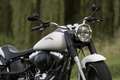 Harley-Davidson Fat Boy Special Alb - thumbnail 10