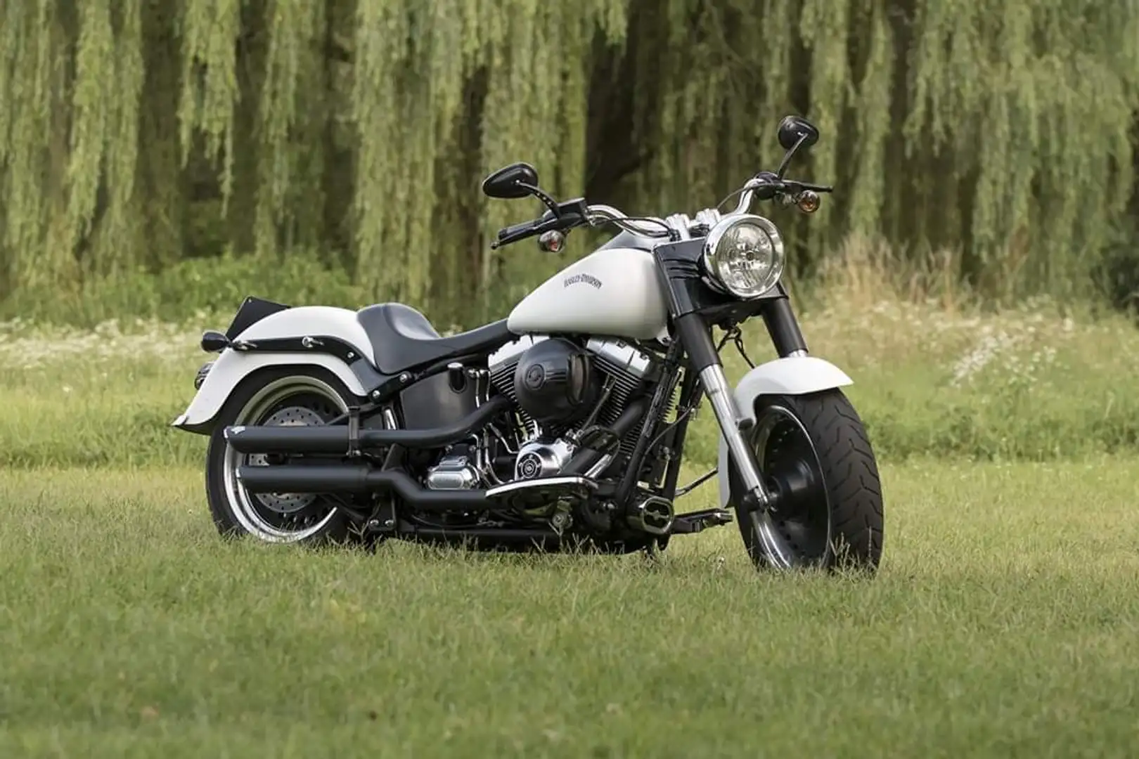 Harley-Davidson Fat Boy Special Alb - 1