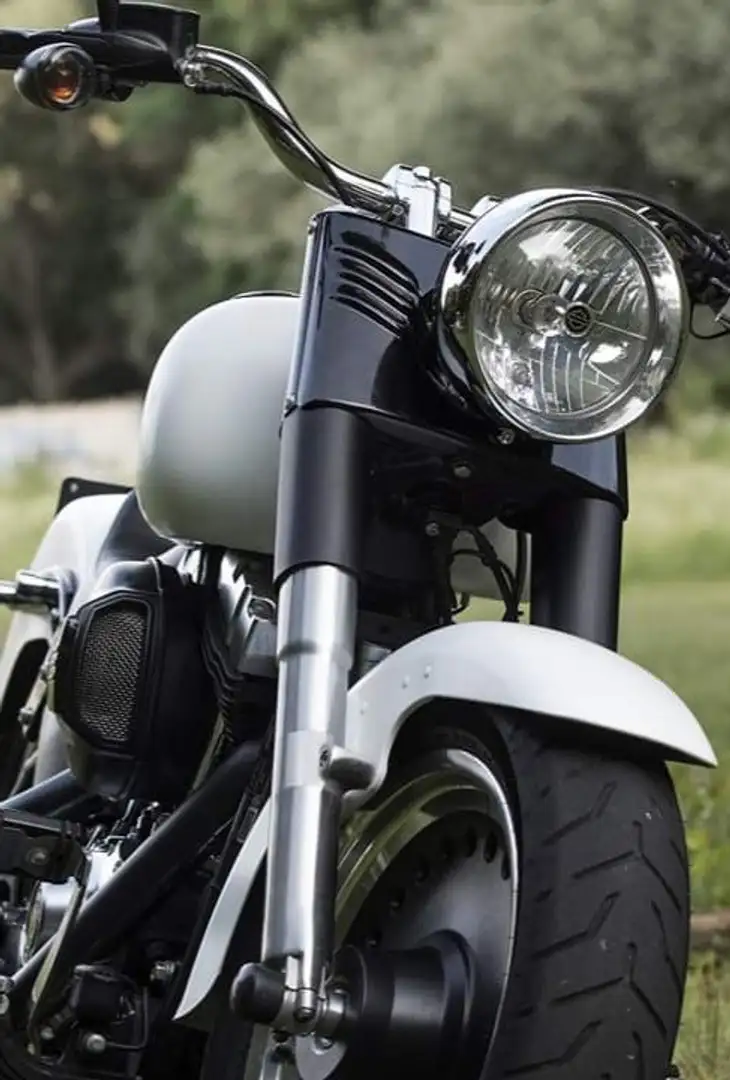 Harley-Davidson Fat Boy Special Alb - 2
