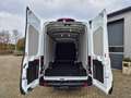 Ford Transit 350 L4H3 2.0 EcoBlue 130PS Trend Heckantrieb 3,5t Weiß - thumbnail 9