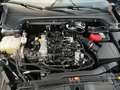 Ford Focus 1.0 HYBRID 125CV 5p. ST-Line Navigatore Sensori Gris - thumbnail 23