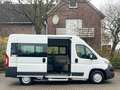 Fiat Ducato 3.0 Natural Power/CNG/Benzin 9 Sitze Pdc Weiß - thumbnail 48