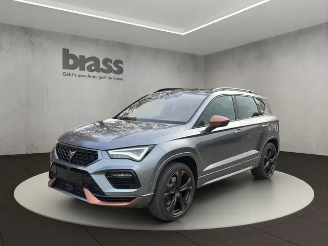 CUPRA Ateca VZ 2.0 TSI 360 Kamera elekt. Heckklappe el