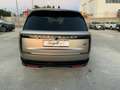 Land Rover Range Rover Range Rover 3.0D l6 350 CV HSE Beige - thumbnail 2