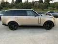 Land Rover Range Rover Range Rover 3.0D l6 350 CV HSE Beige - thumbnail 3