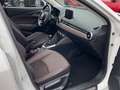 Mazda CX-3 Kizoku Intense AWD 2.0 KAMERA HEAD-UP PDC NAVI SHZ Beyaz - thumbnail 10