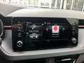 Skoda Kamiq Monte Carlo Facelift 1.5 TSI DSG Panorama, ACC, AH Gris - thumbnail 13