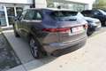 Jaguar F-Pace D200 S AWD Auto. 21.25MY Bruin - thumbnail 10