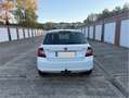 Skoda Fabia 1.0 TSI DSG Ambition - thumbnail 6