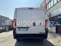 Fiat Ducato Fiat Ducato Coibentato Isotermico Frigorifero Bianco - thumbnail 3