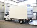 Renault Master*Koffer*Ladebordwand*Kamera*L4 3,5t* Weiß - thumbnail 4