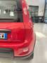 Fiat Panda Panda 0.9 t.air t. natural power City Life 70cv Rosso - thumbnail 11