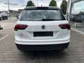 Volkswagen Tiguan 2.0TDI COMFORT IQ DRIVE*VC*PANORAMA Weiß - thumbnail 6