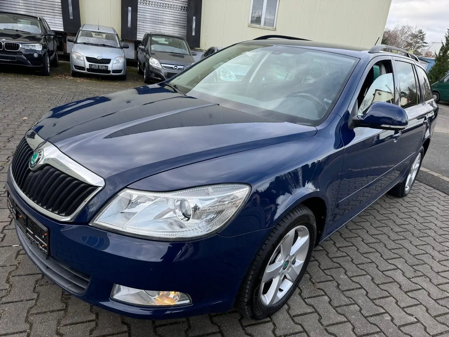Skoda Octavia Best of Blau - 2