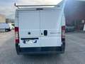 Fiat Ducato 35 2.2 MJT PM-TN Furgone Bianco - thumbnail 16