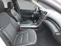 Chevrolet Malibu 2.0 AT LTZ GEWERBE 1. Hand SHZ PDC NAVI Leder Weiß - thumbnail 4