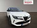 Alfa Romeo Junior Ibrida 1.2 VGT 48V-Hybrid (107kW) Speciale Weiß - thumbnail 20