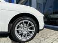Porsche Macan S Diesel (9.75) Aut. Blanco - thumbnail 21